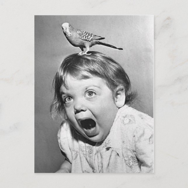 Vintage Foto Postcard Postkarte (Vorderseite)