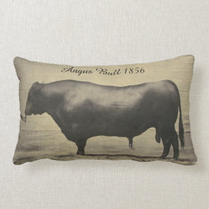 Vintage Fotografie Angus Stier Lendenkissen