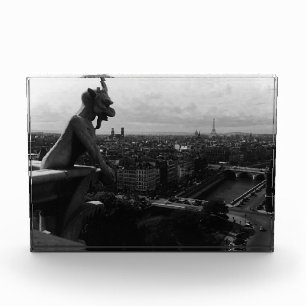 Vintage Frankreich Paris Notre-Dame-Kathedrale Teu Fotoblock