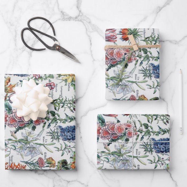 Vintage französische Adolphe Millot-Blume Geschenkpapier Set (Vorderseite)
