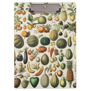 Vintage Französische Botanische Obstplakate Kunst Klemmbrett