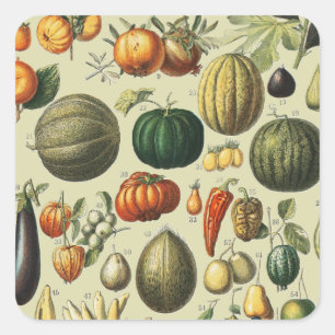 Vintage Französische Botanische Obstplakate Kunst Quadratischer Aufkleber