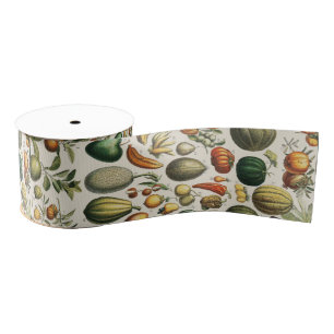 Vintage Französische Botanische Obstplakate Kunst Ripsband