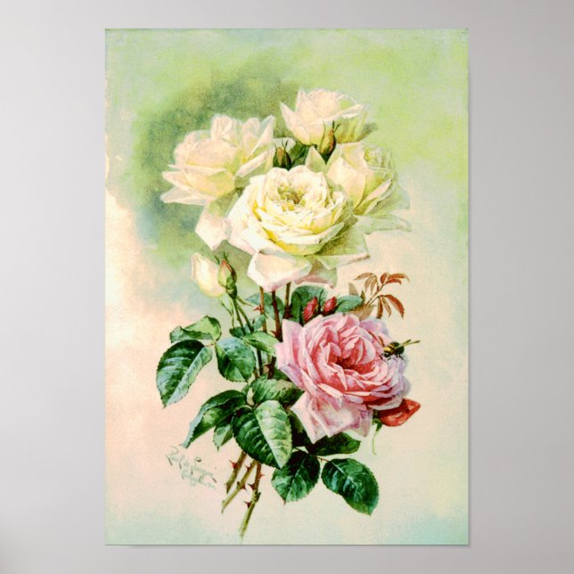 Vintage französische Bridal-Rose Poster (Vorne)