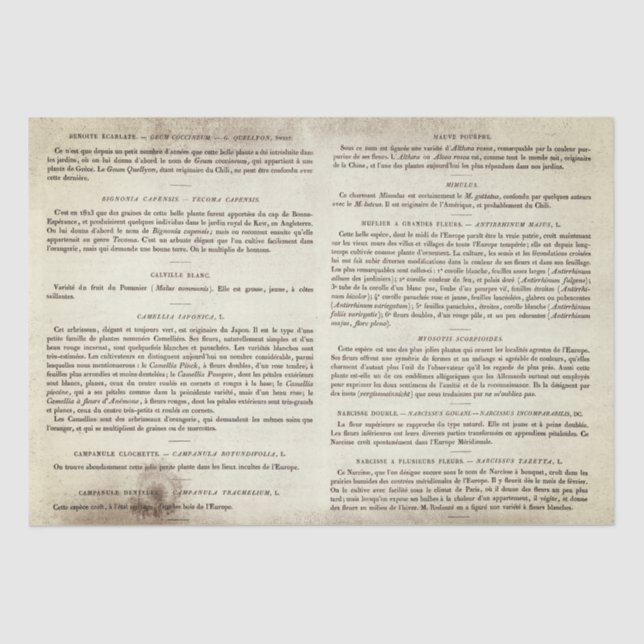 Vintage französische Buchseiten Seidenpapier (Vorderseite)