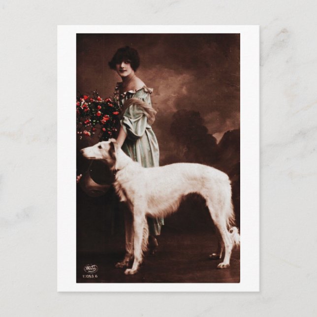 Vintage französische Dame mit Hund Postkarte (Vorderseite)