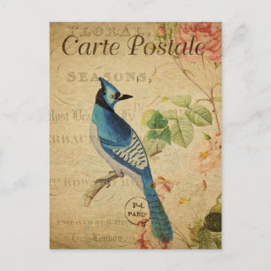 Vintage französische Ephemera Blaumerle Vogel rosa Postkarte