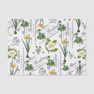 Vintage Französische Frühlingshitze Blume Daffodin Seidenpapier