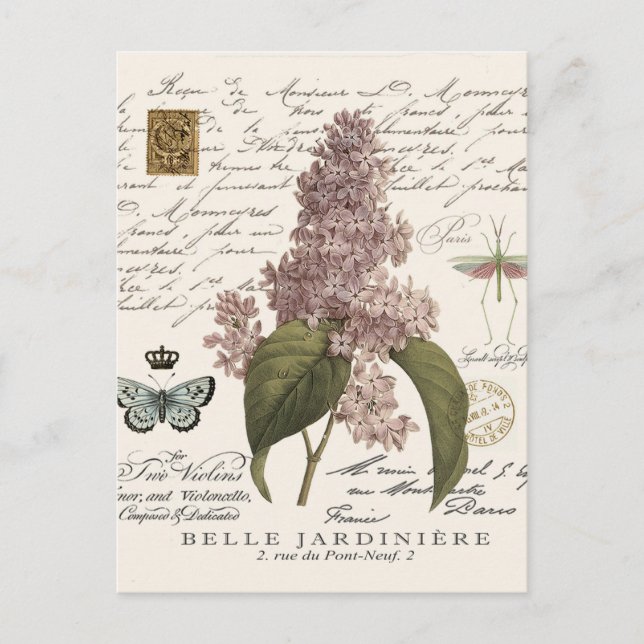 Vintage französische Lilacs Postkarte (Vorderseite)