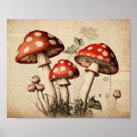 Vintage französische Mushroom Page Wall Art