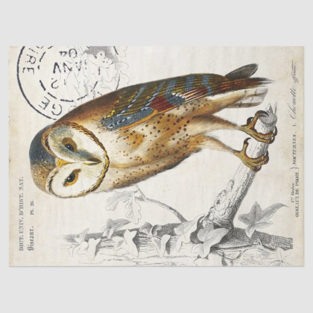 Vintage französische Poststempeldekoupage Seidenpapier (Vorderseite)