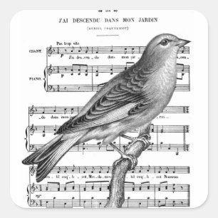Vintage Französische Vogelgesang Musik Aufkleber Q