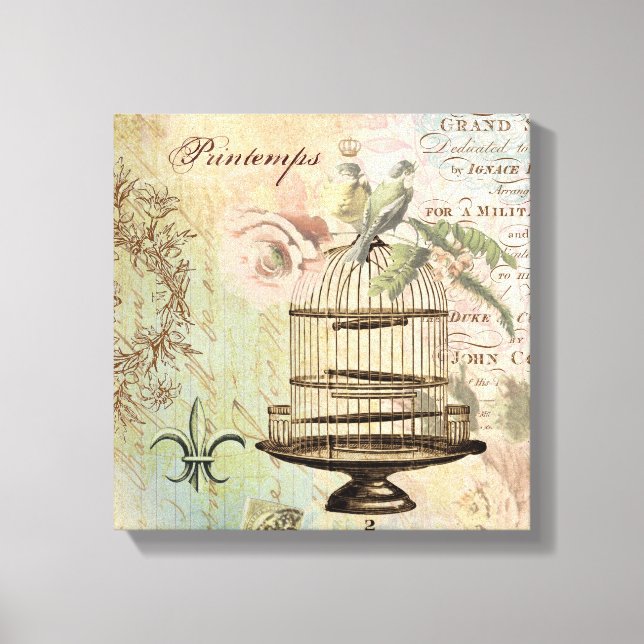 Vintage französische Vogelkäfige gedehnte Leinwand (Vorderseite)