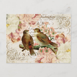 Vintage französische Vogelschutzkarte Postkarte