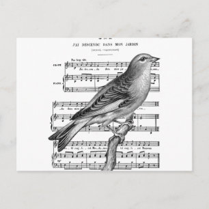 Vintage französische Vogelstimmen Musik Postkarte