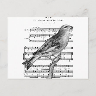 Vintage französische Vogelstimmen Musik Postkarte