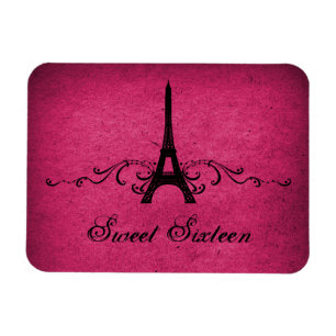 Vintage Französischer Flourish Sweet 16 Magnet, Pi Magnet