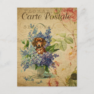 Vintage französischer Kunstdruck, Blumenhund Postkarte