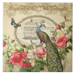 Vintage-französischer Shabby-Chic-Pfau Fliese