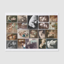 Vintage Frauen mit Pferden - Fotos Seidenpapier