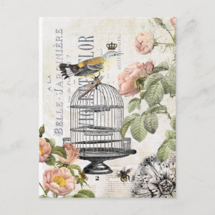 Vintage French bird postcard Postkarte