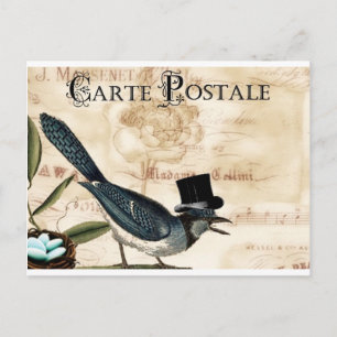 Vintage French Black Top Hart Bluebird Post Card Postkarte