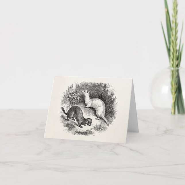 Vintage Frettchen 1800s Frettchenweasels-Nerze Karte (Vorderseite)