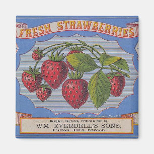 Vintage-Frische-Erdbeeren-Magnet Magnet