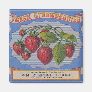 Vintage-Frische-Erdbeeren-Magnet Magnet