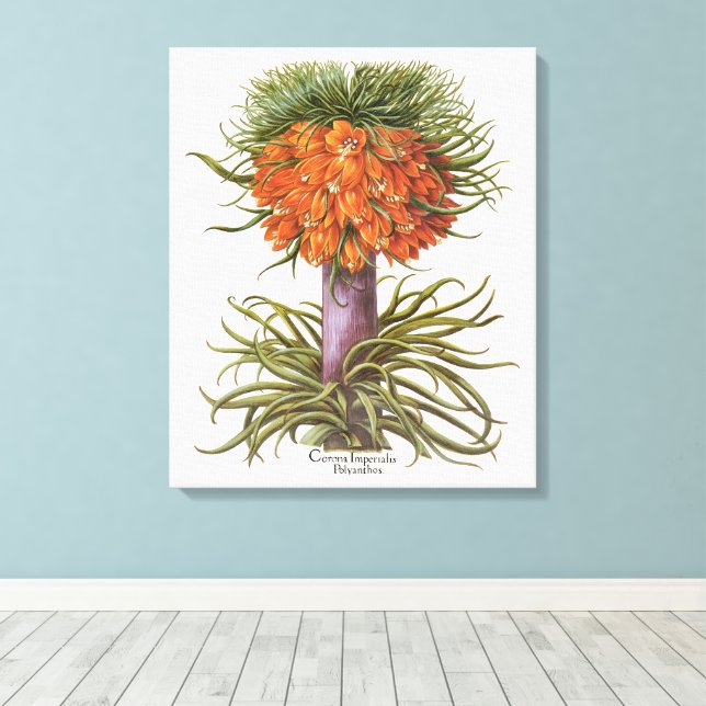 Vintage Fritillaria-Blume von Basilius Besler Leinwanddruck (Insitu (Holzboden))