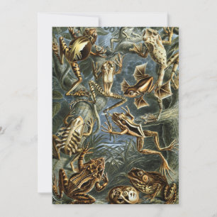 Vintage Frogs und Toads Batrachia von Ernst Haecke Einladung