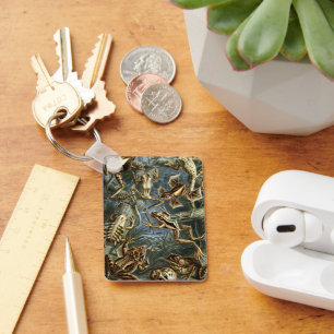 Vintage Frogs und Toads Batrachia von Ernst Haecke Schlüsselanhänger