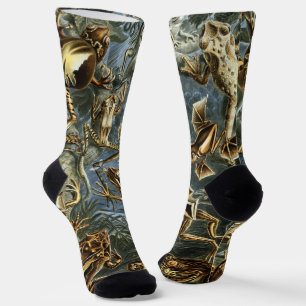 Vintage Frogs und Toads Batrachia von Ernst Haecke Socken