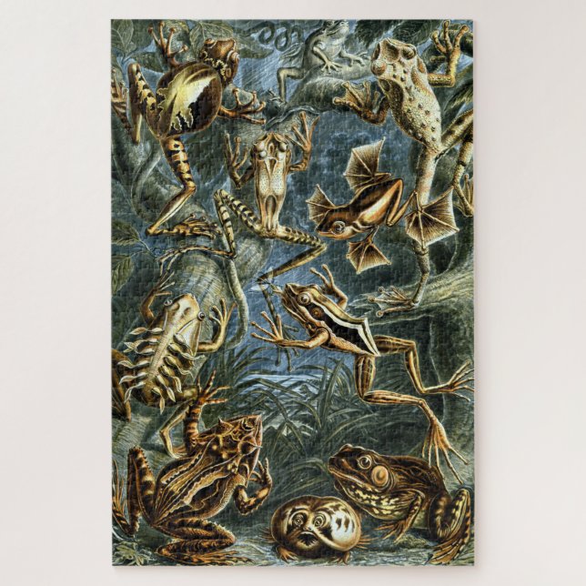 Vintage Frogs von Ernst Haeckel Puzzle (Vertikal)