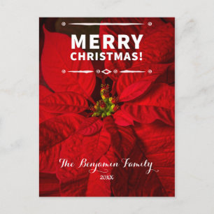 Vintage Frohe Weihnachten Rote Poinsettien Custom