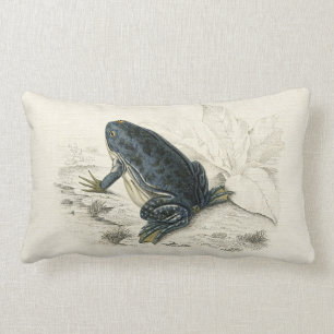 Vintage Frosch Lendenkissen