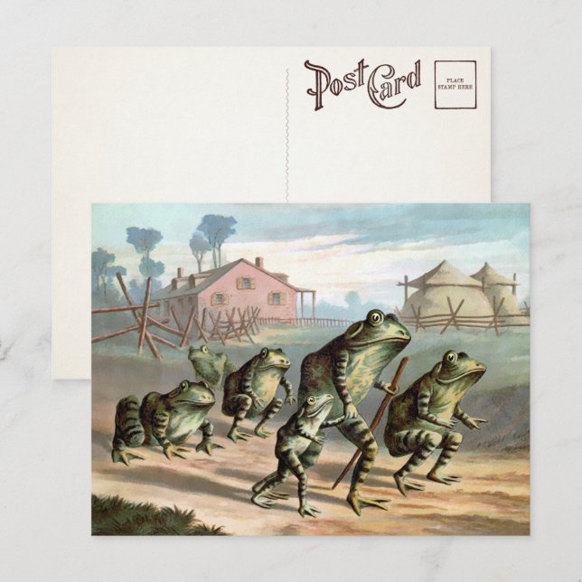 Vintage Frösche Postkarte (Vorne/Hinten)
