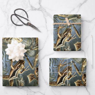 Vintage Frösche und Kröten Batrachia von Ernst Hae Geschenkpapier Set