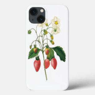 Vintage-Frucht-Beeren-Lebensmittel-Erdbeeren von R Case-Mate iPhone Hülle