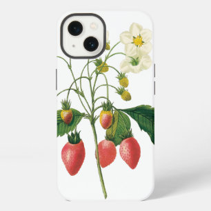 Vintage-Frucht-Beeren-Lebensmittel-Erdbeeren von R iPhone Hülle
