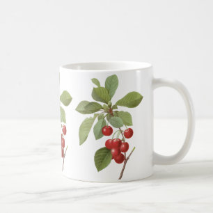 Vintage-Frucht-Kirsche-Essen, Kirschen von Redoute Kaffeetasse