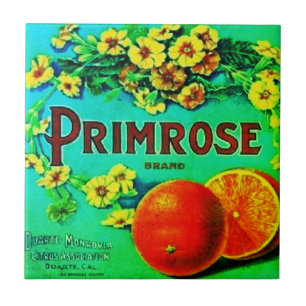 Vintage-Frucht-Orangen-Werbeetikett Fliese
