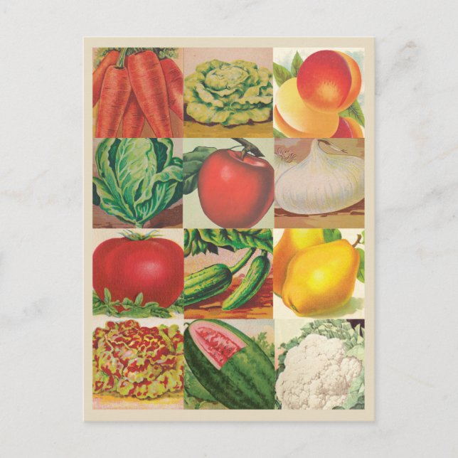Vintage-Frucht- und Gemüseillustrationen Postkarte (Vorderseite)