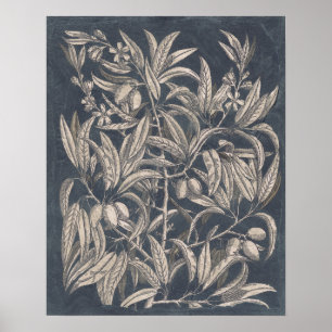 Vintage Früchte & Floral I Poster
