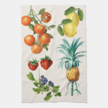 Vintage-Fruchtillustrationen