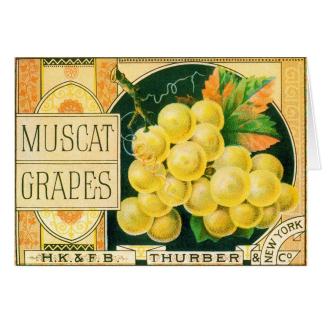 Vintage Fruchtkäse (Vorderseite (Horizontal))