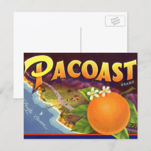 Vintage Fruchtkäse Postkarte