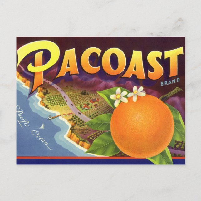Vintage Fruchtkäse Postkarte (Vorderseite)
