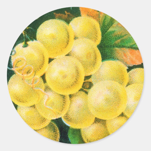 Vintage Fruchtkäse Runder Aufkleber (Vorderseite)