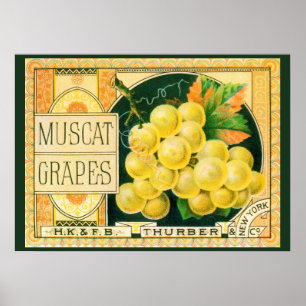 Vintage-Fruchtkisten-Etiketten-Kunst, Muskat-Traub Poster
